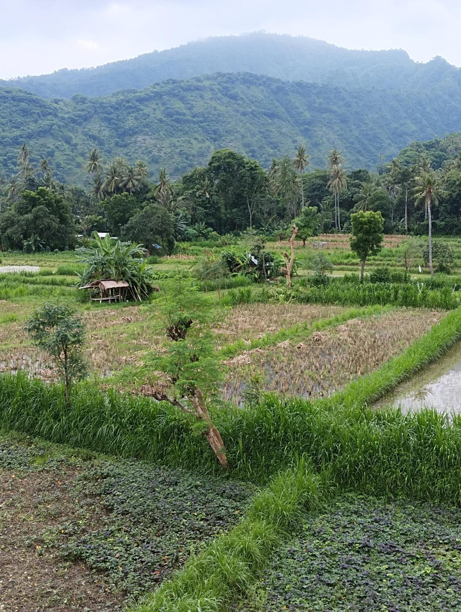 Amed Stop Inn Homestay, Rooftop Restaurant And Bar Luaran gambar