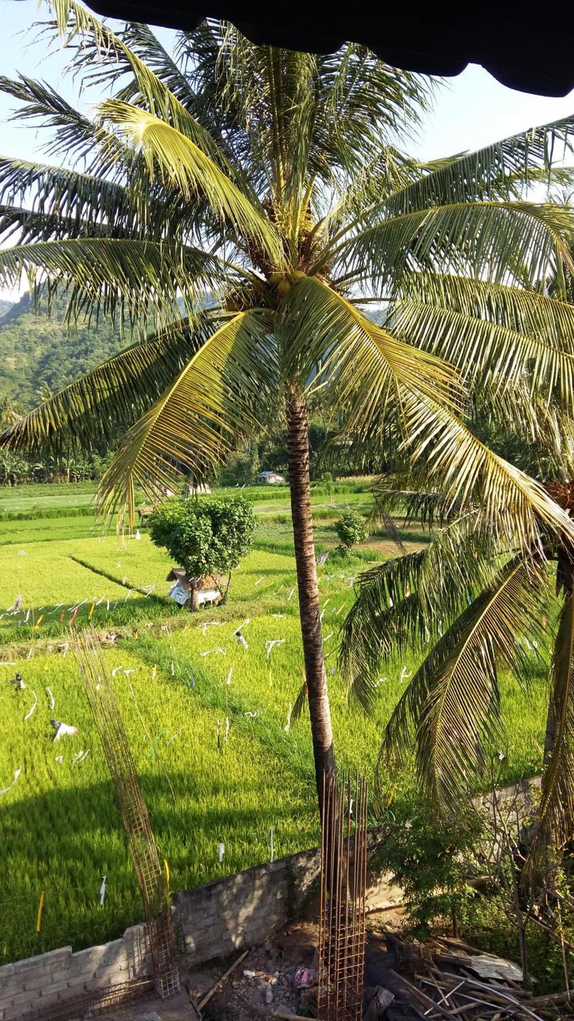 Amed Stop Inn Homestay, Rooftop Restaurant And Bar Luaran gambar